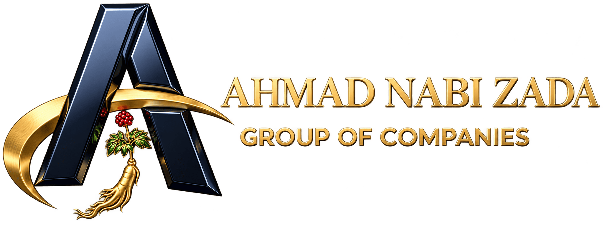 ANZ Logo — Ahmad Nabi Zada Group