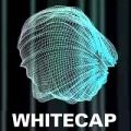 WhiteCap Visualizer Platinum 6.8 Download
