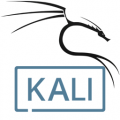 Kali Linux Live 2020.4 Download x86/x64