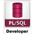 Allround Automations PL / SQL Developer 14.0.3 Download
