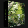 Globe Plants Bundle 14 Tropical Garden 02 Download
