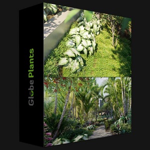 Globe Plants Bundle14 Tropical Garden 02