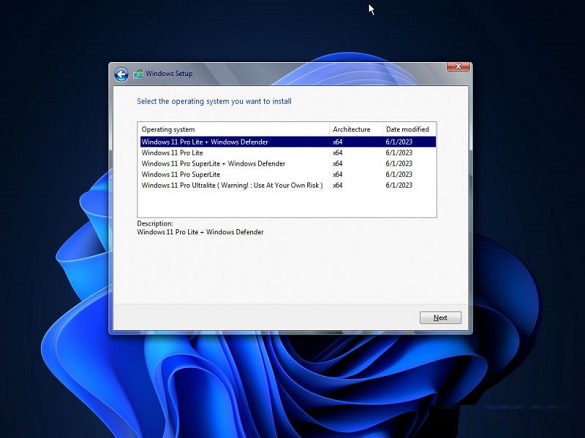 Windows 11 Pro Lite 25H2