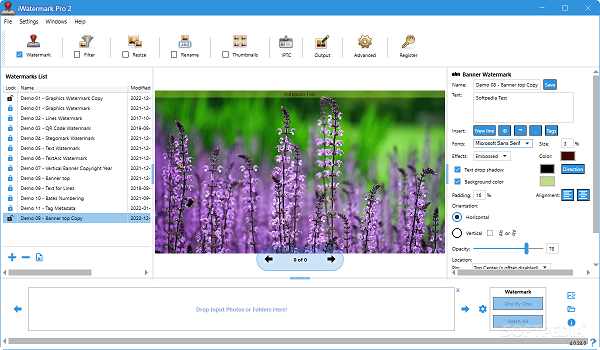 Download iWatermark Pro 2 Portable